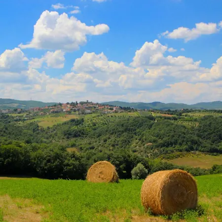 Villa Villa In San Venanzo With Pool And Sauna